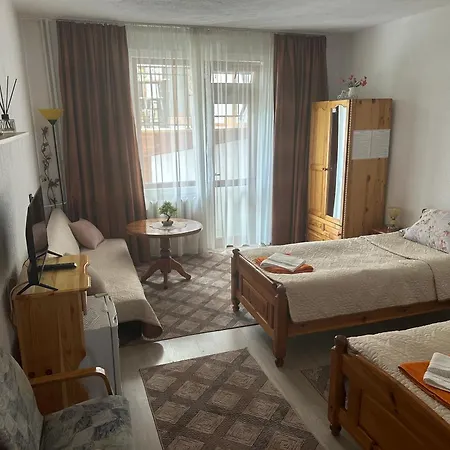 Maison d'hôtes Niki House Bansko