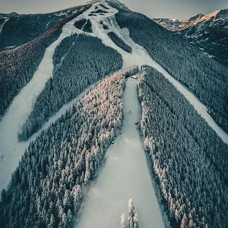 Niki House 반스코