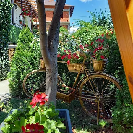 بيت ضيافة Niki House