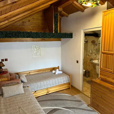 Niki House Πανσιόν Μπάνσκο